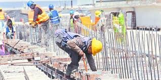 Chumaceras, Cadenas y Transmision de Fuerza